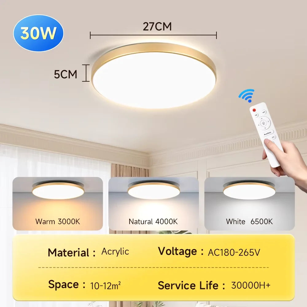 Smart Led Ceiling Light with Remote Control 3 Colors Dimmable Ceiling Lights Ultrathin Panel Lamps Bedroom Kitchen Ceiling Lamp Digispots